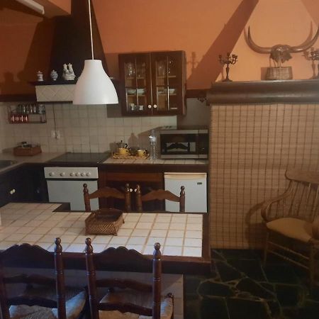 Loft Green Apartment La Laguna  Bagian luar foto